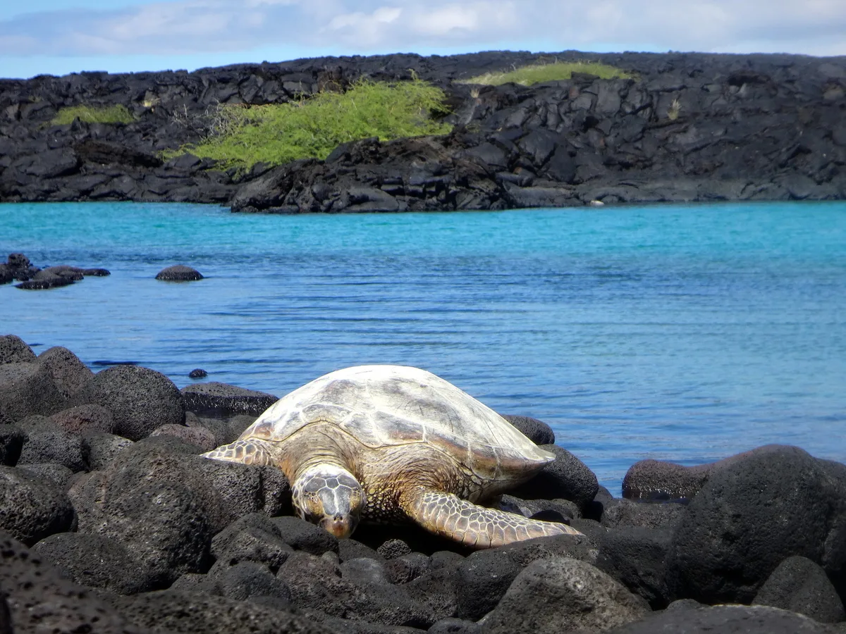 Kiholo Bay, North Kona, Hawaii, United States