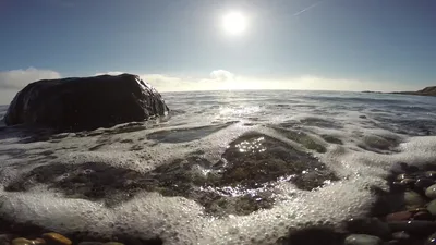 Cattle Point Beach
