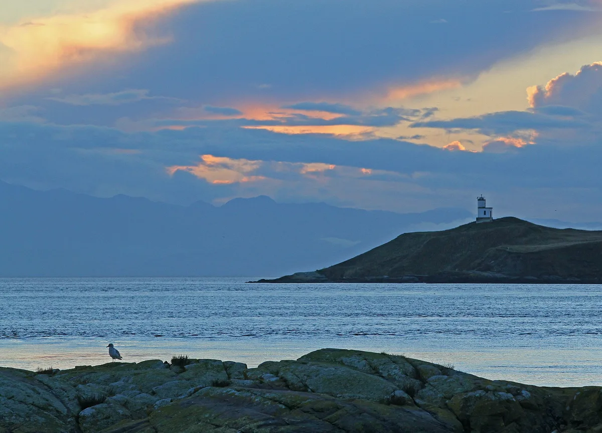 Cattle Point Beach, Friday Harbor, US Pacific Northwest, United States — 3
