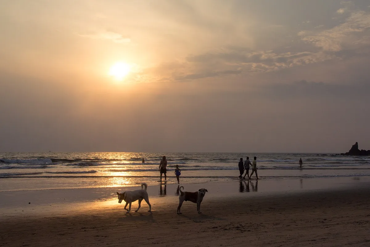 Arambol Beach, Arambol, Indian West Coast, India — 3