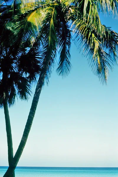 Varadero Beach, Cárdenas, Greater Antilles, Cuba — 4