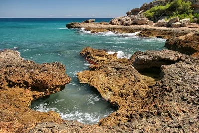Mosques Cove