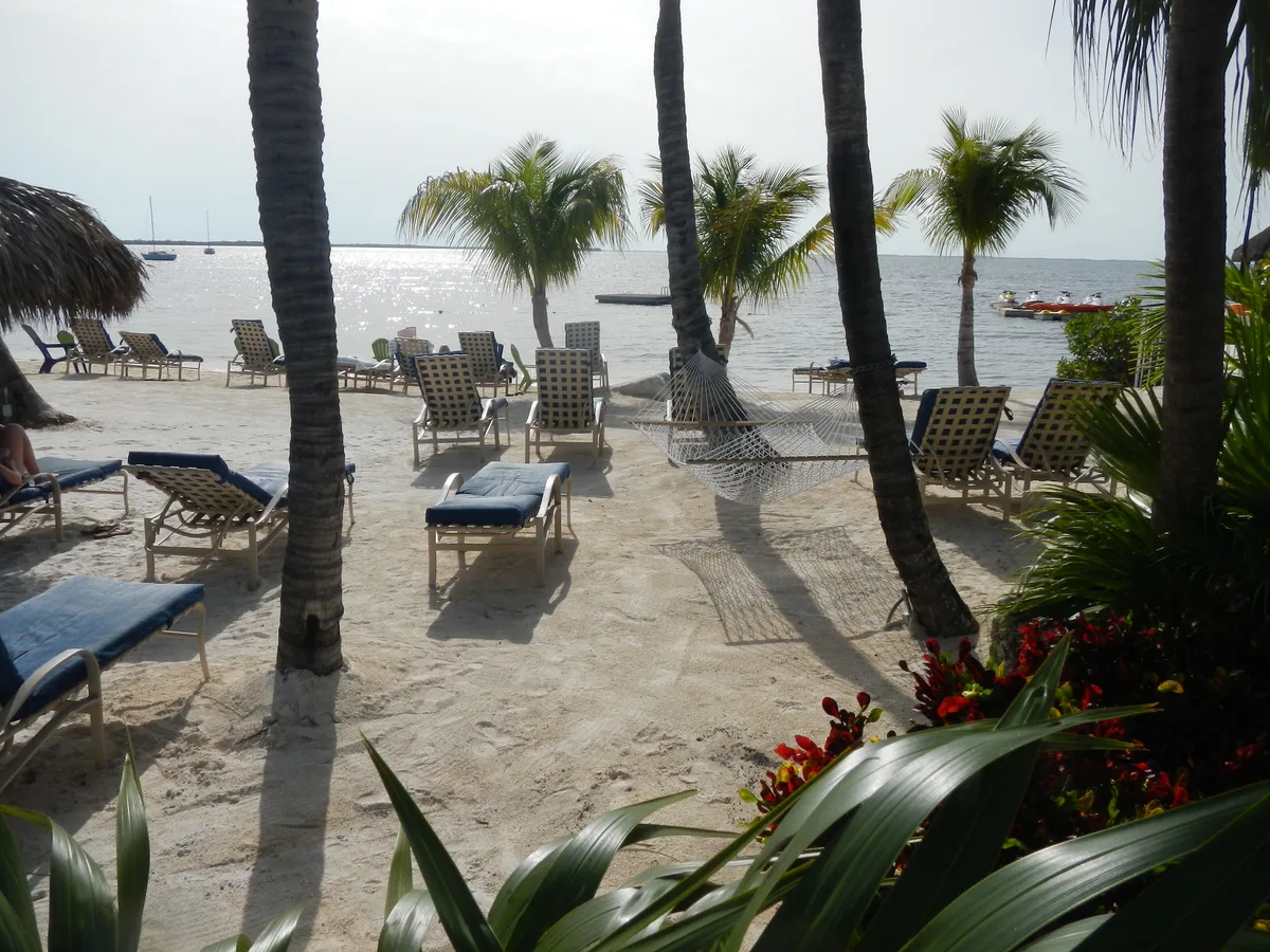 Spiaggia di Adams Cut Waterway, Key Largo, Florida Keys, Stati Uniti — 2