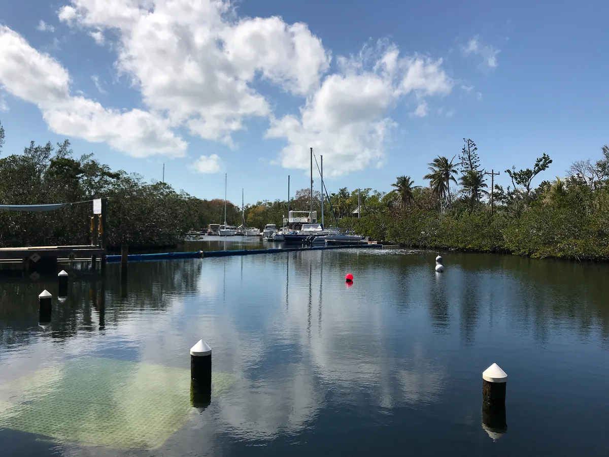 Spiaggia di Adams Cut Waterway, Key Largo, Florida Keys, Stati Uniti — 3