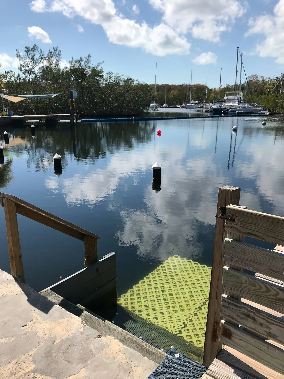 Spiaggia di Adams Cut Waterway, Key Largo, Florida Keys, Stati Uniti — 4