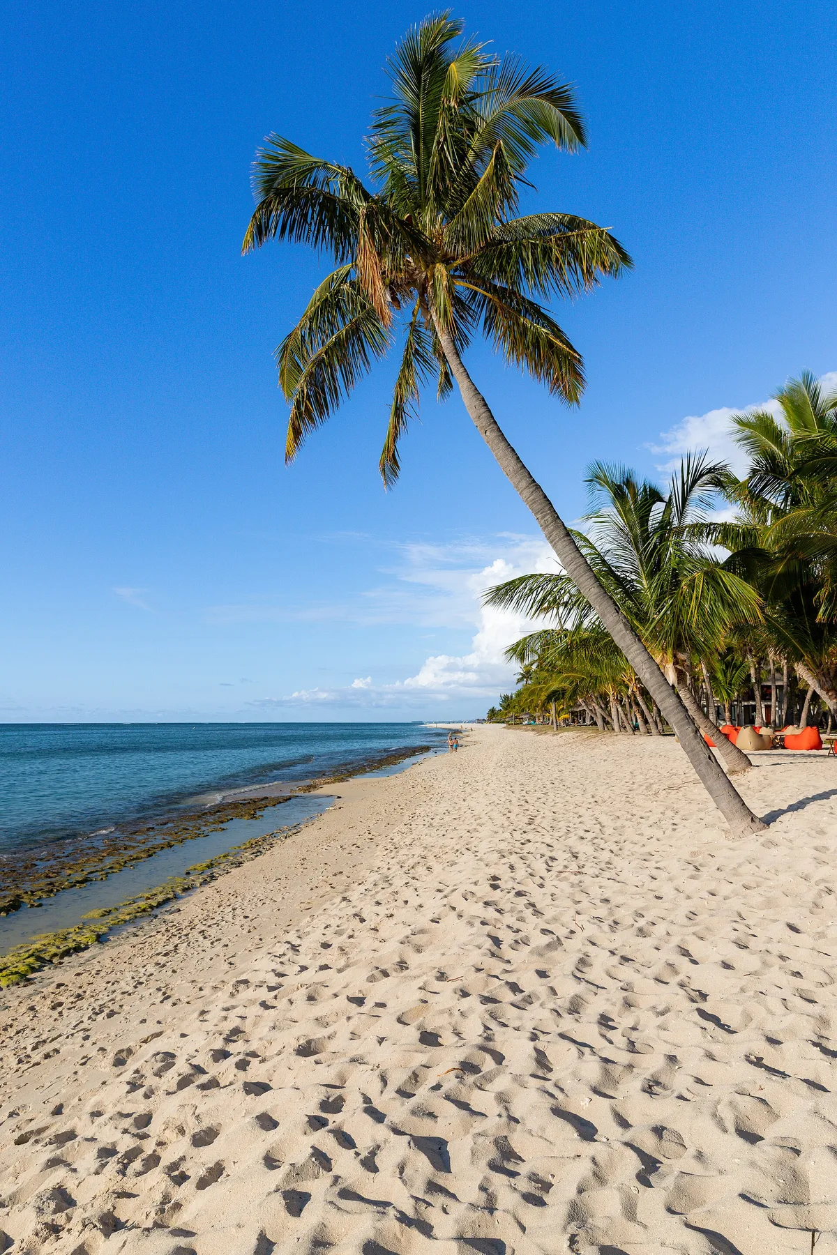 Playa de Baie du Cap, Savanne, Mascarene Islands, Mauricio — 3