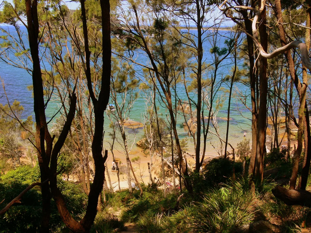 Resolute Beach, Northern Beaches Council, New South Wales, Australia — 4
