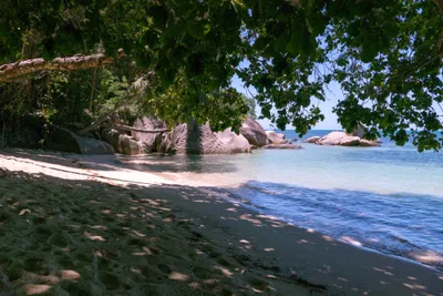 Anse Bois de Rose Beach