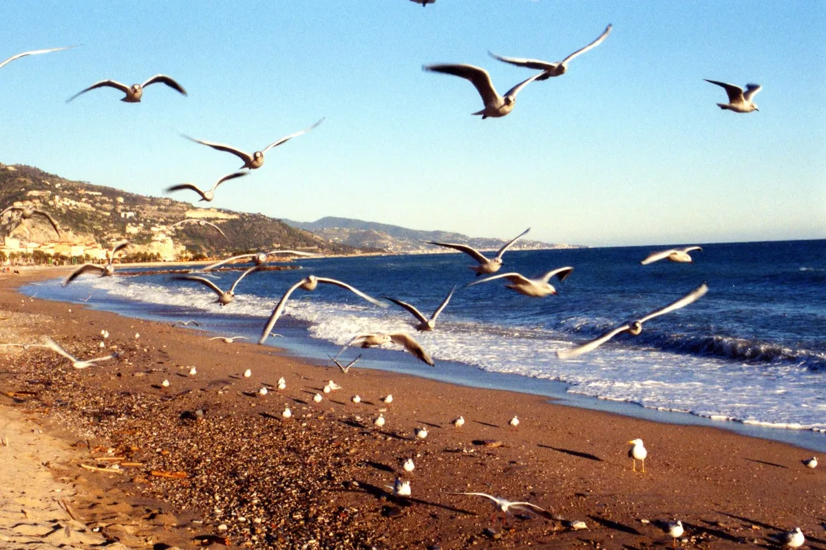 Menton Beach, Menton, French Riviera, France — 6
