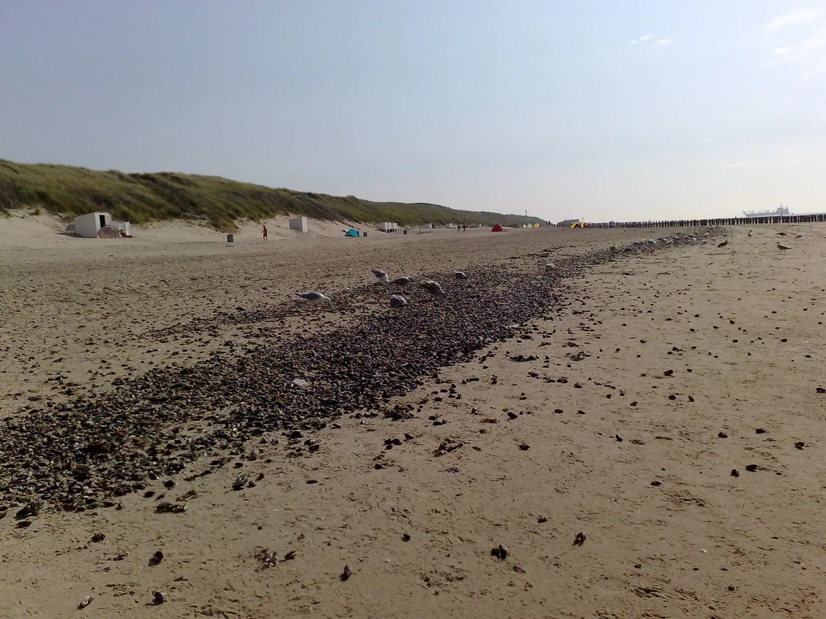Domburg Beach, Veere, Zeeland, Netherlands — 5