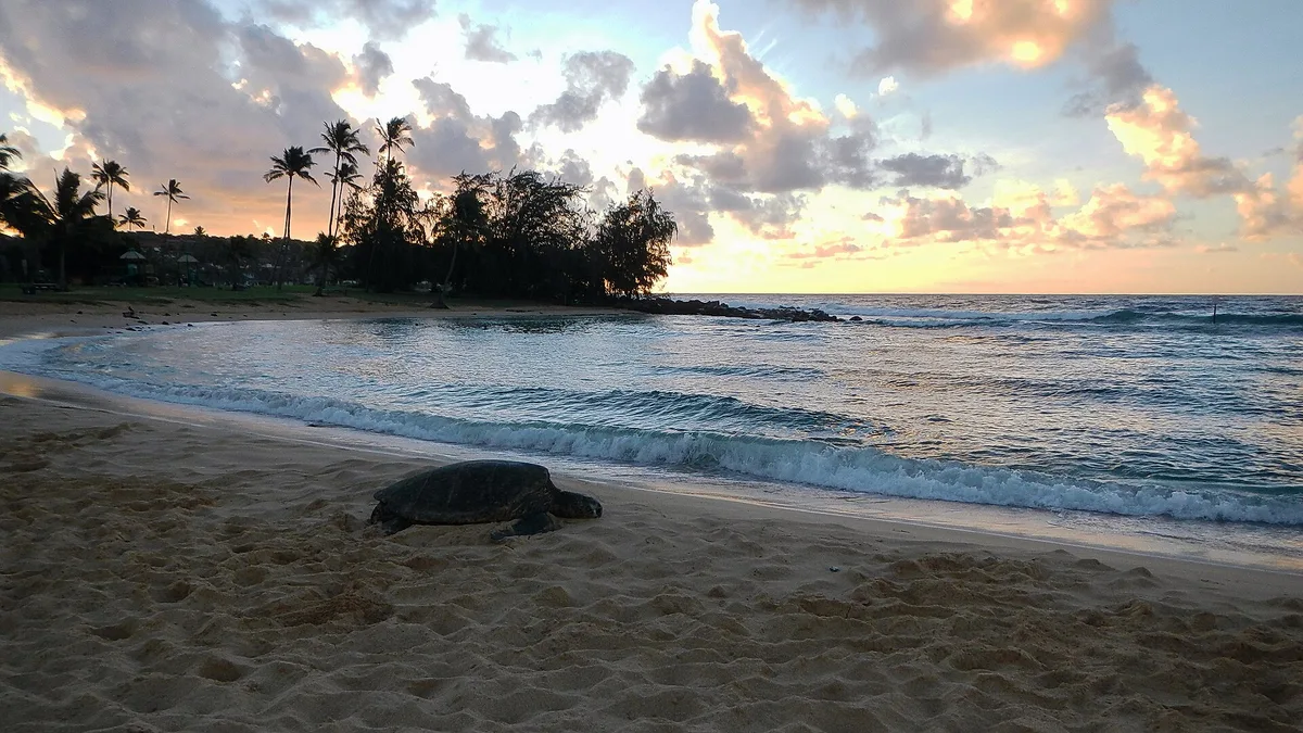 Po'ipū Beach Park, Koloa, Hawaii, Estados Unidos — 3