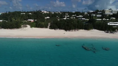 Elbow Beach