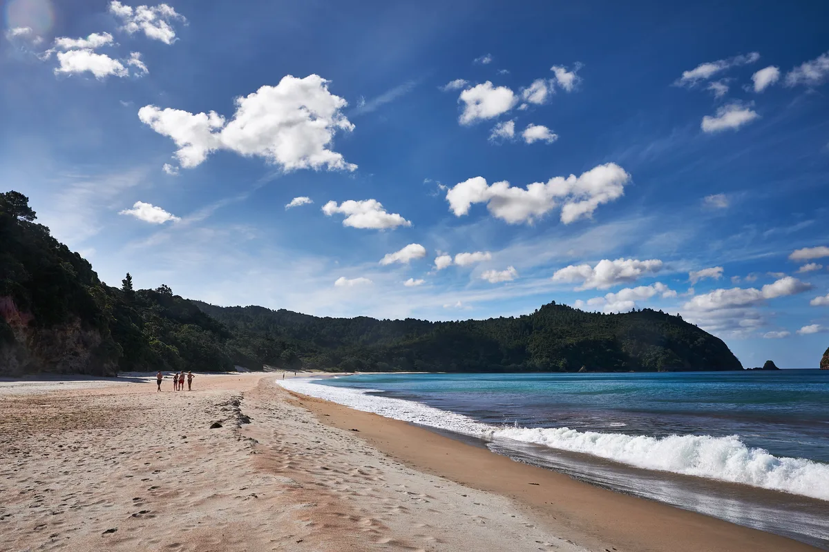 Whangapoua Beach, Thames-Coromandel District, Waikato, New Zealand — 2