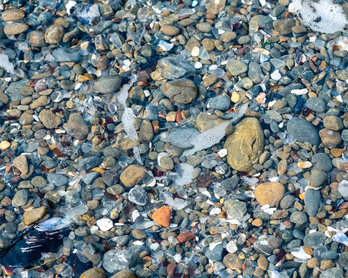 Glass Beach, Fort Bragg, California Coast, Estados Unidos — 5