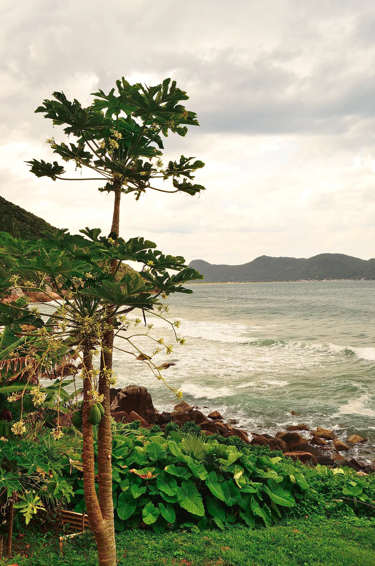 Saquinho-Strand, Florianópolis, Brazilian Atlantic, Brasilien — 6
