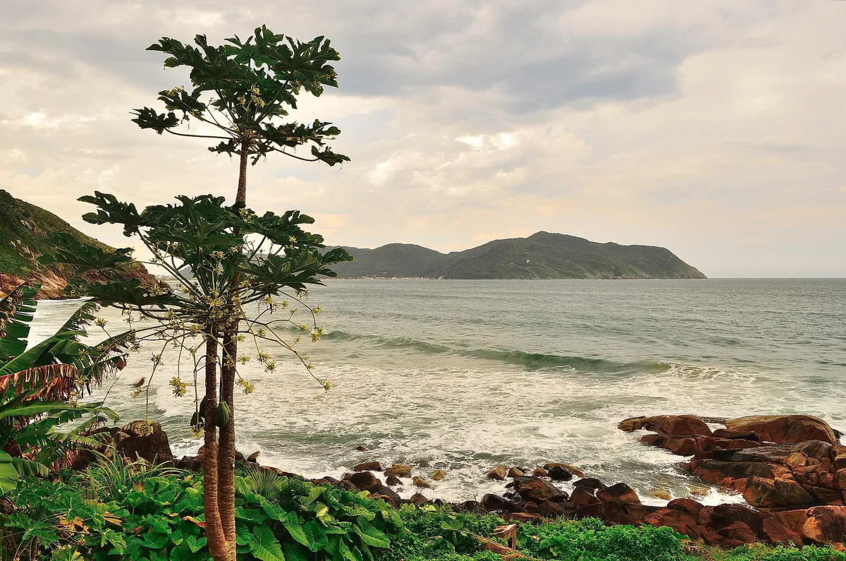 Saquinho-Strand, Florianópolis, Brazilian Atlantic, Brasilien — 5