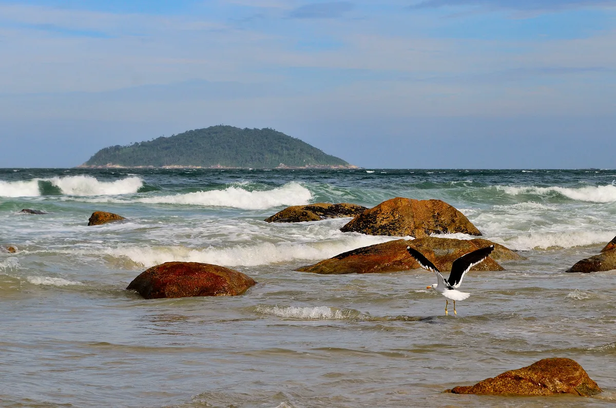 Saquinho-Strand, Florianópolis, Brazilian Atlantic, Brasilien — 2