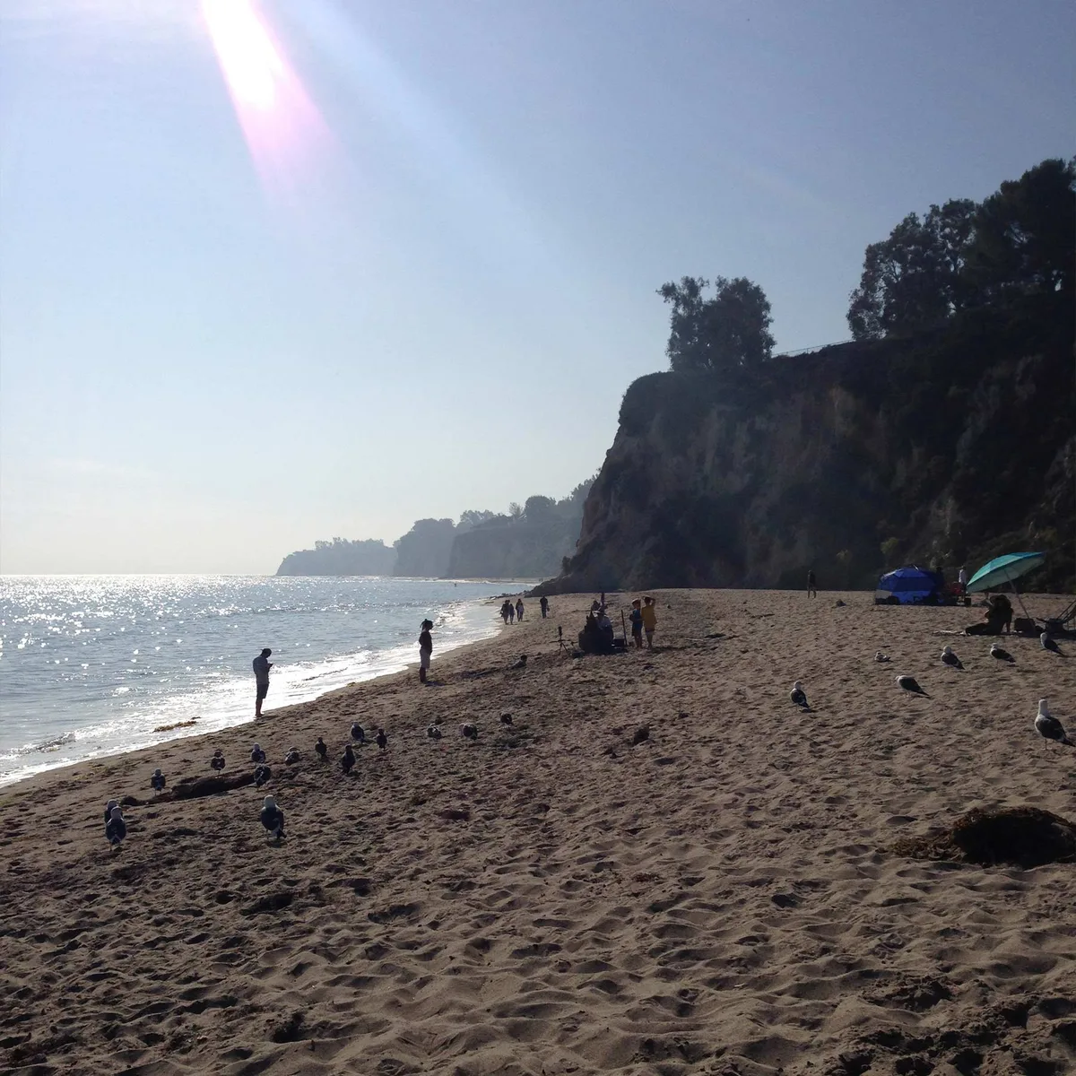 Paradise Cove Beach, Malibu, California Coast, United States — 3