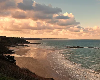 Martin Plage