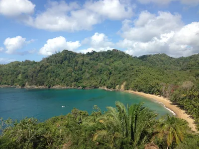 Englishman's Bay