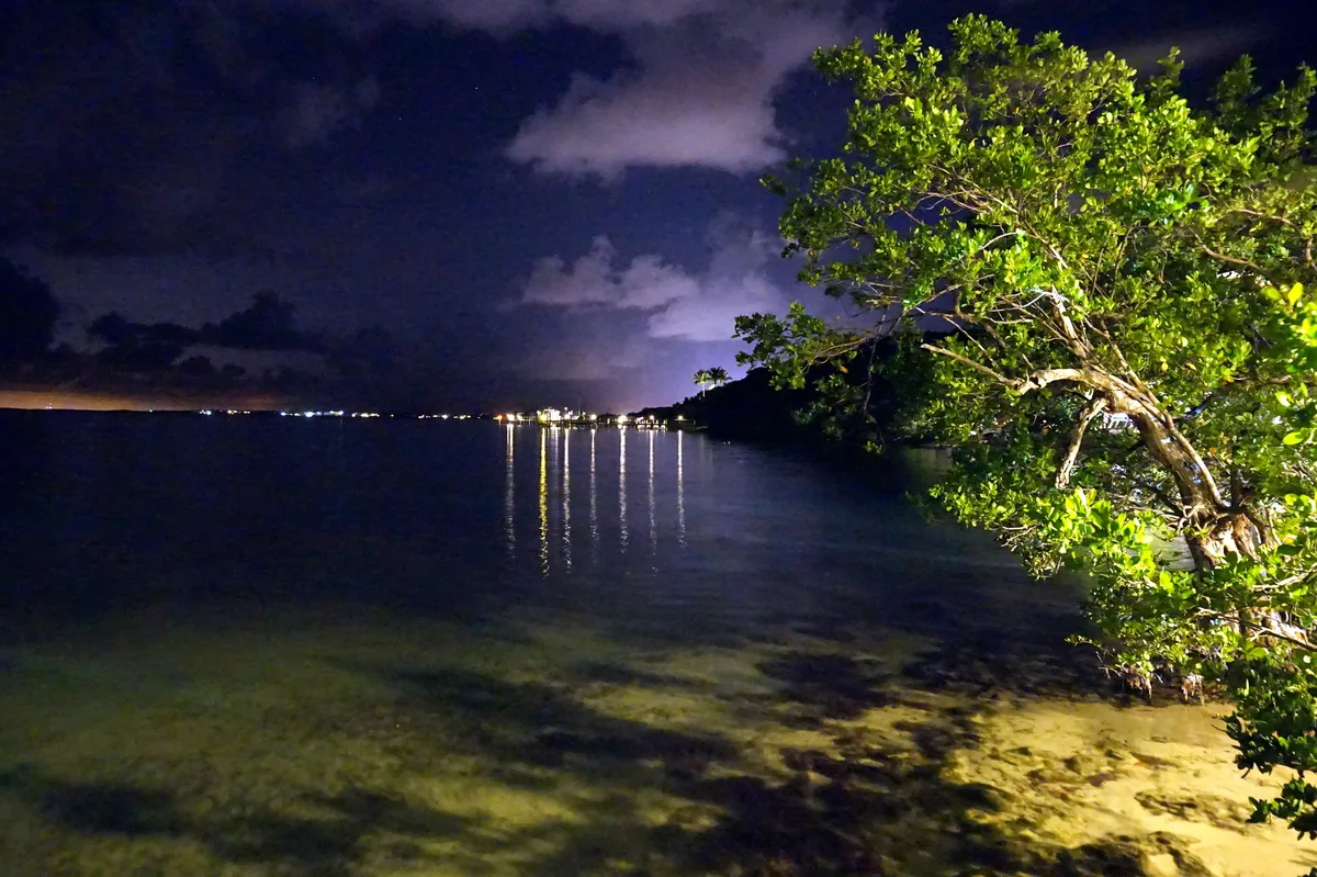 Playa Largo Resort Public Beach Access, Key Largo, Florida Keys, Stati Uniti — 3