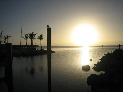 Playa Largo Resort Public Beach Access, Key Largo, Florida Keys, Stati Uniti — 5