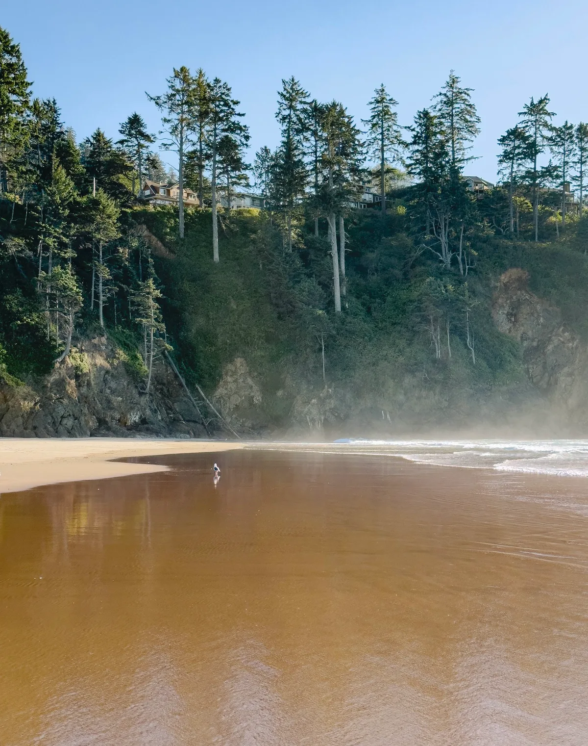 Proposal Rock Beach, Neskowin, Pacific Northwest, United States — 5