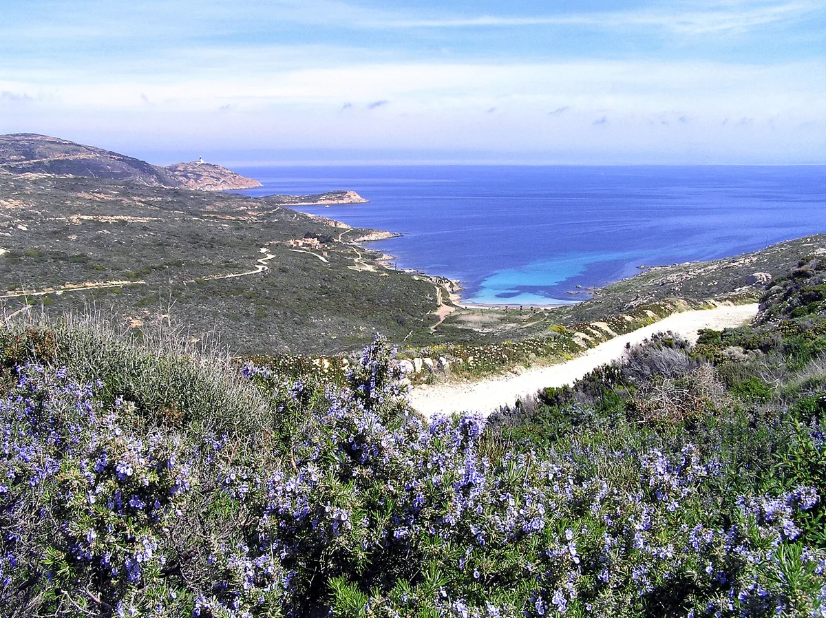 Playa de l'Alga, Calvi, Corsica, Francia — 3