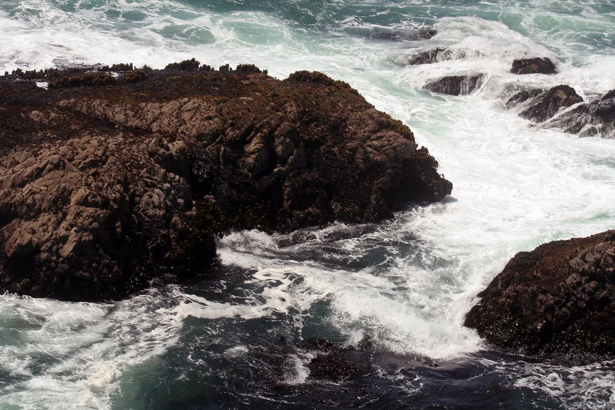 Big River Beach, Mendocino, California Coast, United States — 6