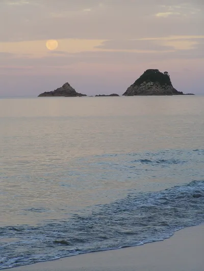 Hahei Beach