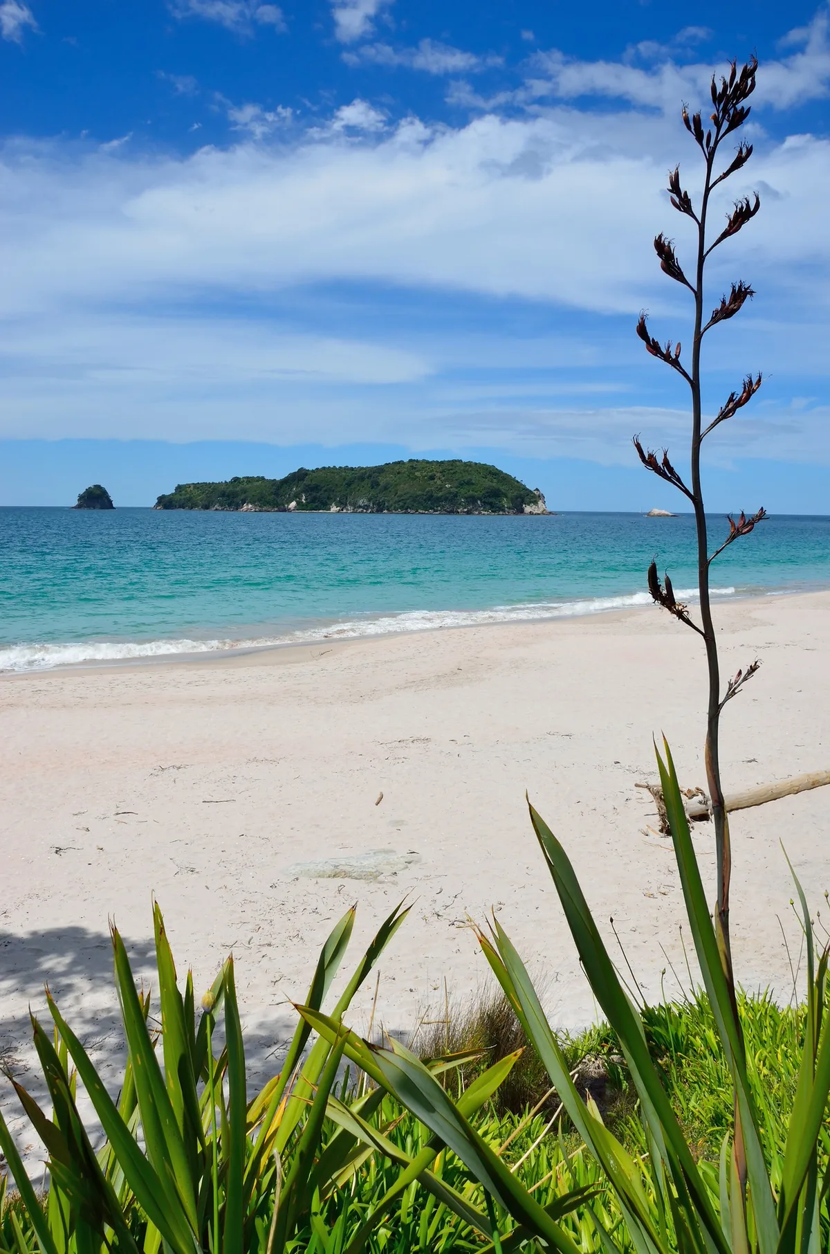 Hahei Beach, Hahei, Waikato, New Zealand — 5