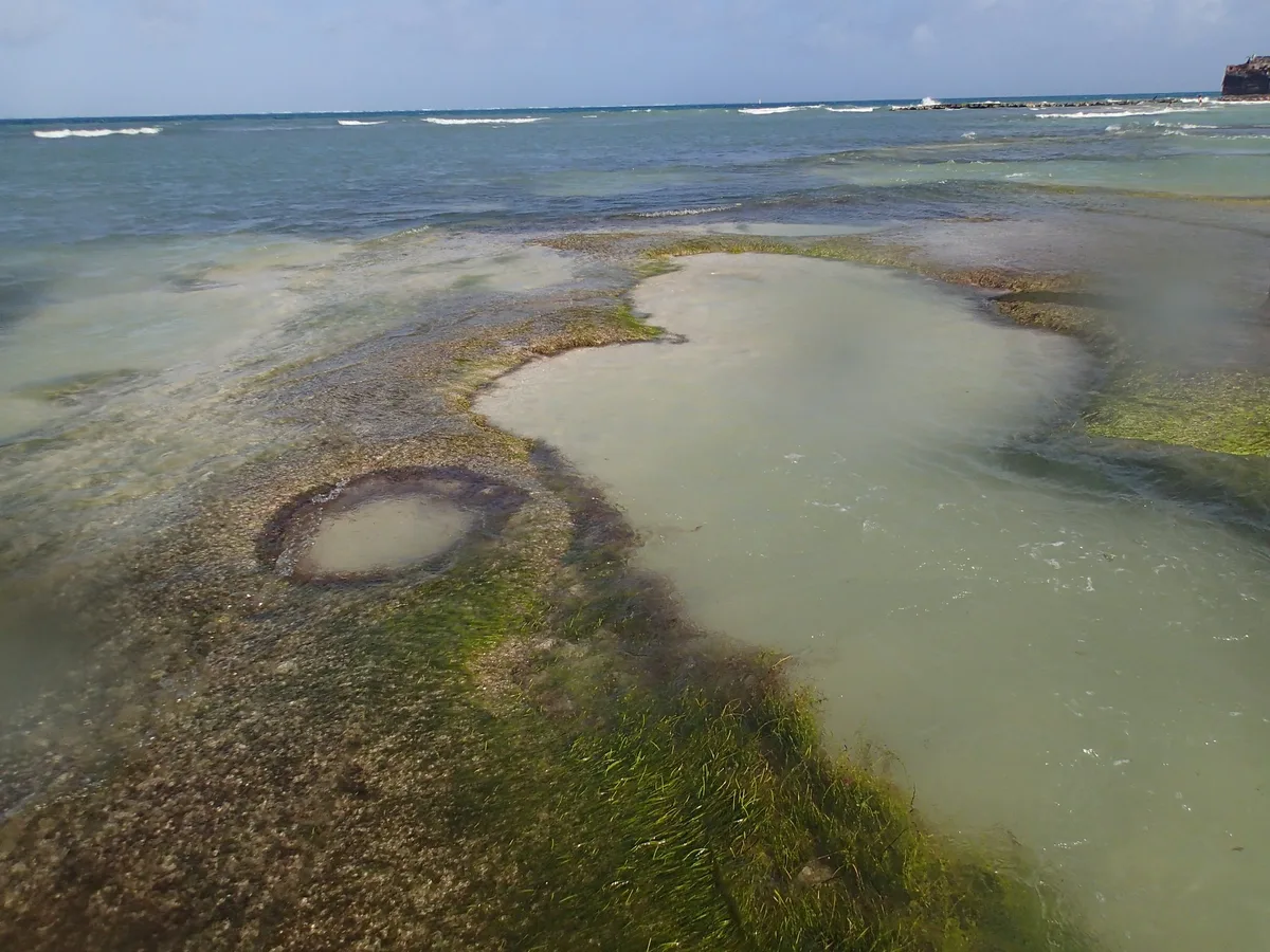 Spiaggia di Rocky Cay, San Andrés, Colombian Caribbean, Colombia — 5