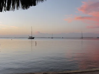 Sunset Cove Beach, Key Largo, Florida Keys, United States — 4