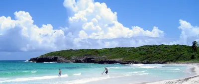 Mosquito Beach, Isabel Segunda, Greater Antilles, Puerto Rico — 4