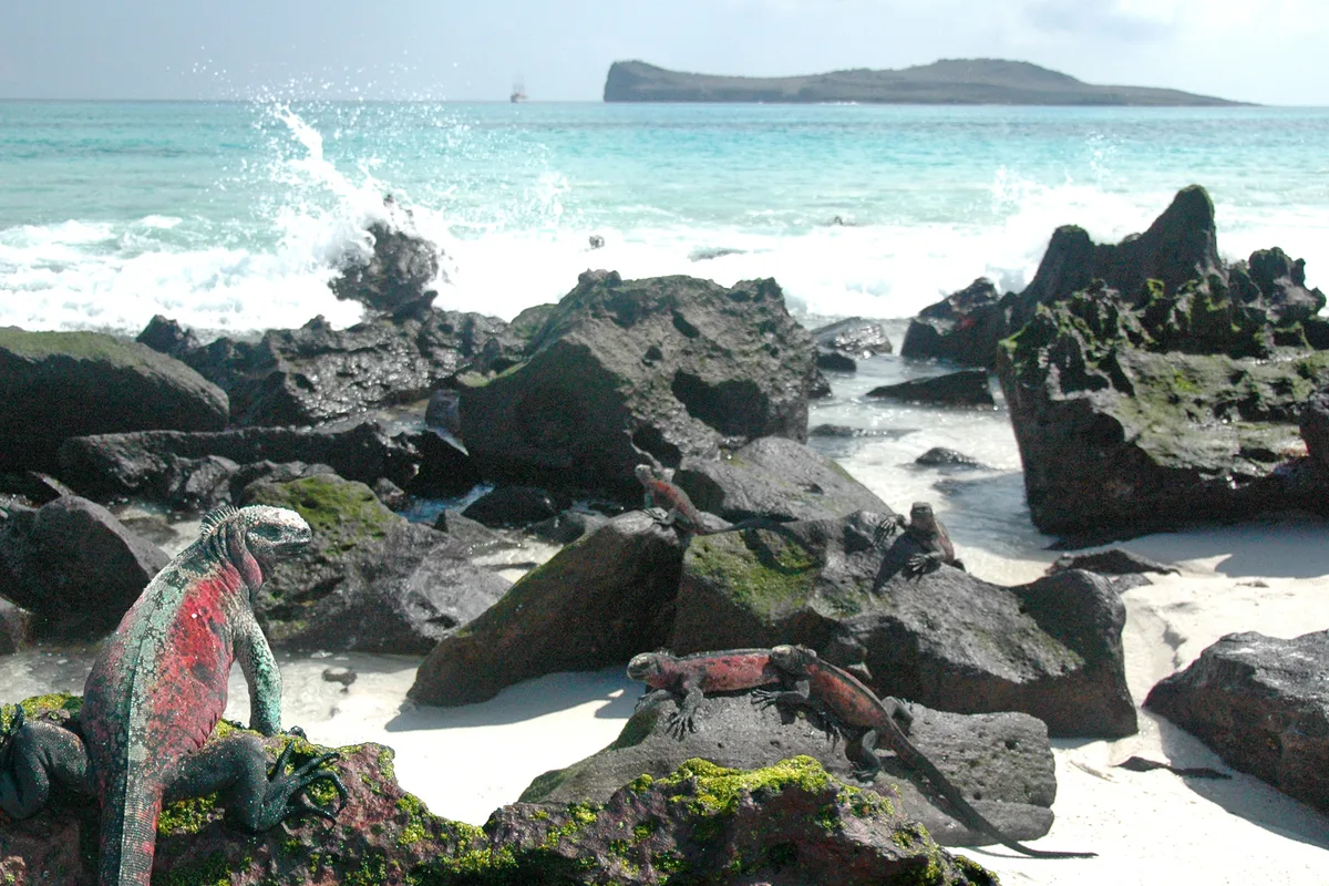 Gardner-strand, Española, Galápagos, Ecuador — 4