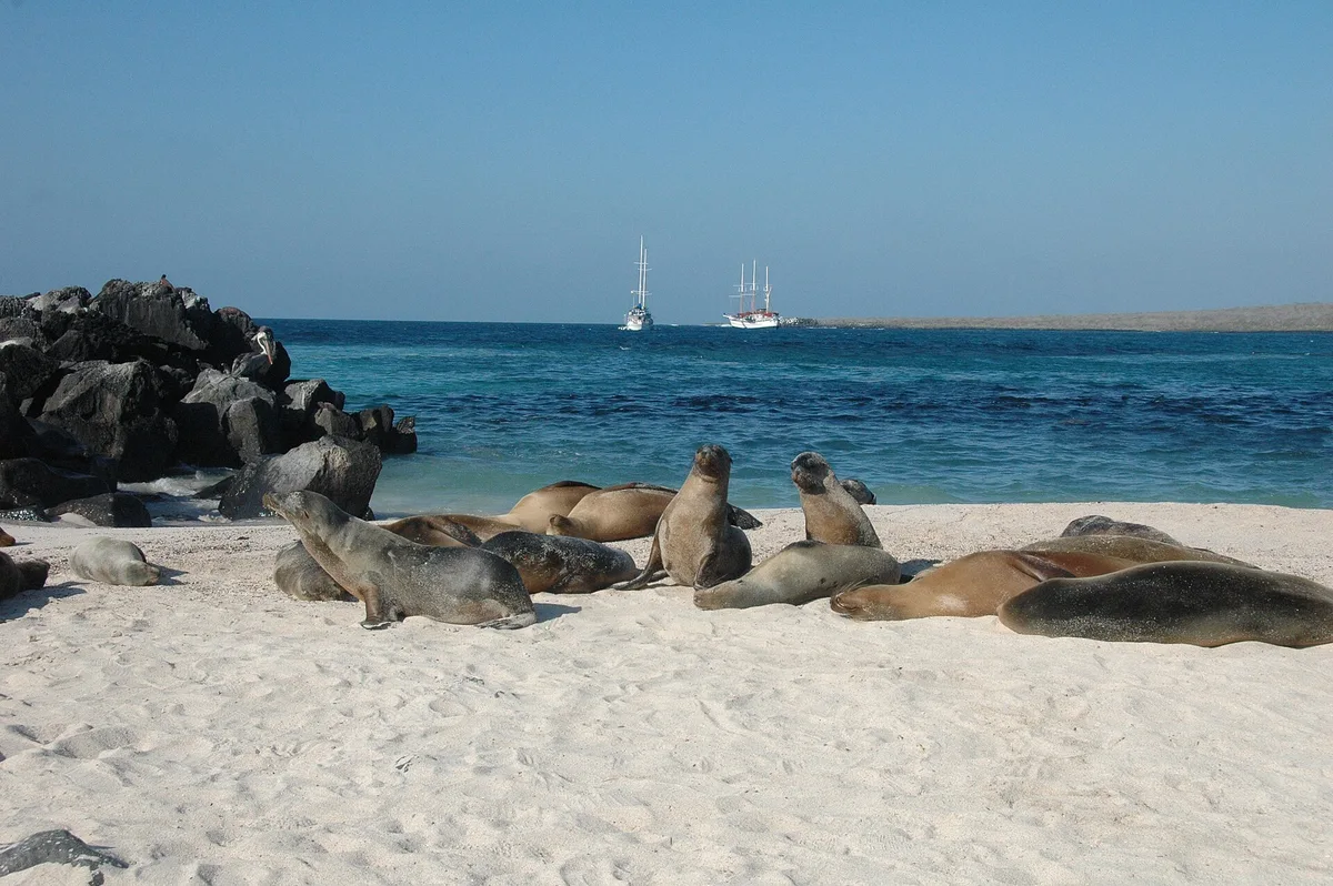 Gardner-strand, Española, Galápagos, Ecuador — 5