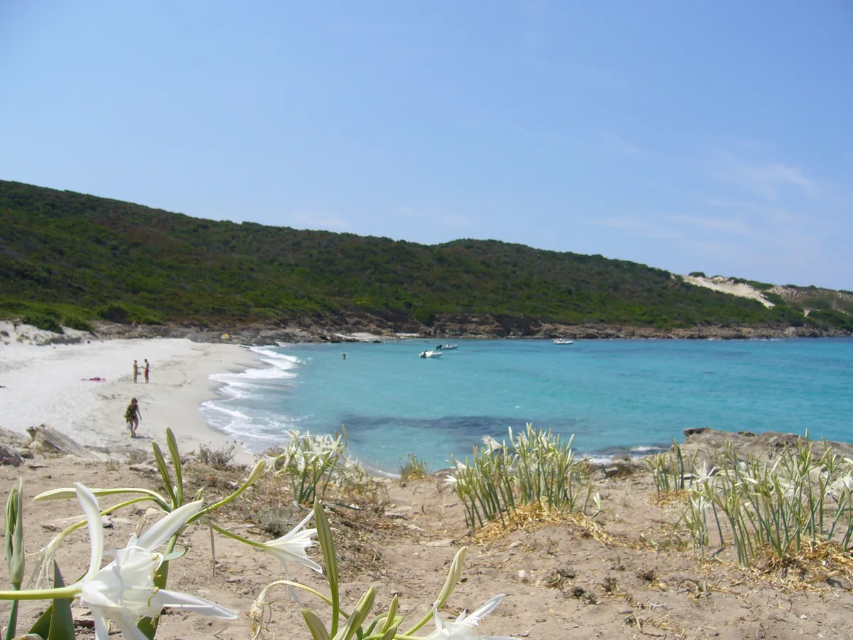 Trave Beach, Santo-Pietro-di-Tenda, Corse, France