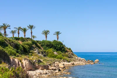Kissonerga Beach, Kissonerga, Paphos District, Cyprus — 4