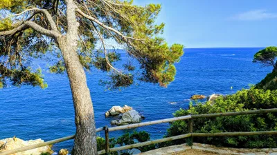 Cala Banys Beach