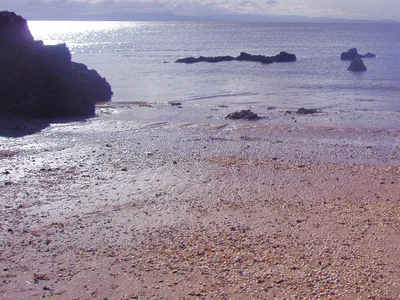 Cooks Beach, Cooks Beach, Waikato, New Zealand — 6