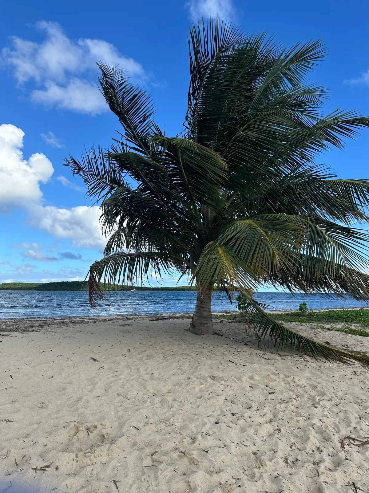 Fuertes Beach, Isabel Segunda, Greater Antilles, Puerto Rico — 4