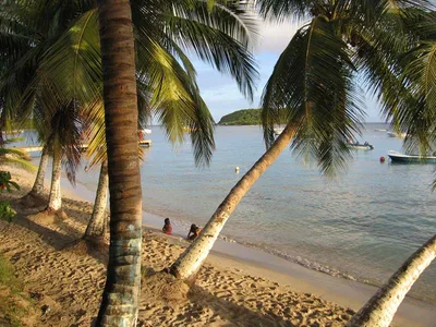 Fuertes Beach