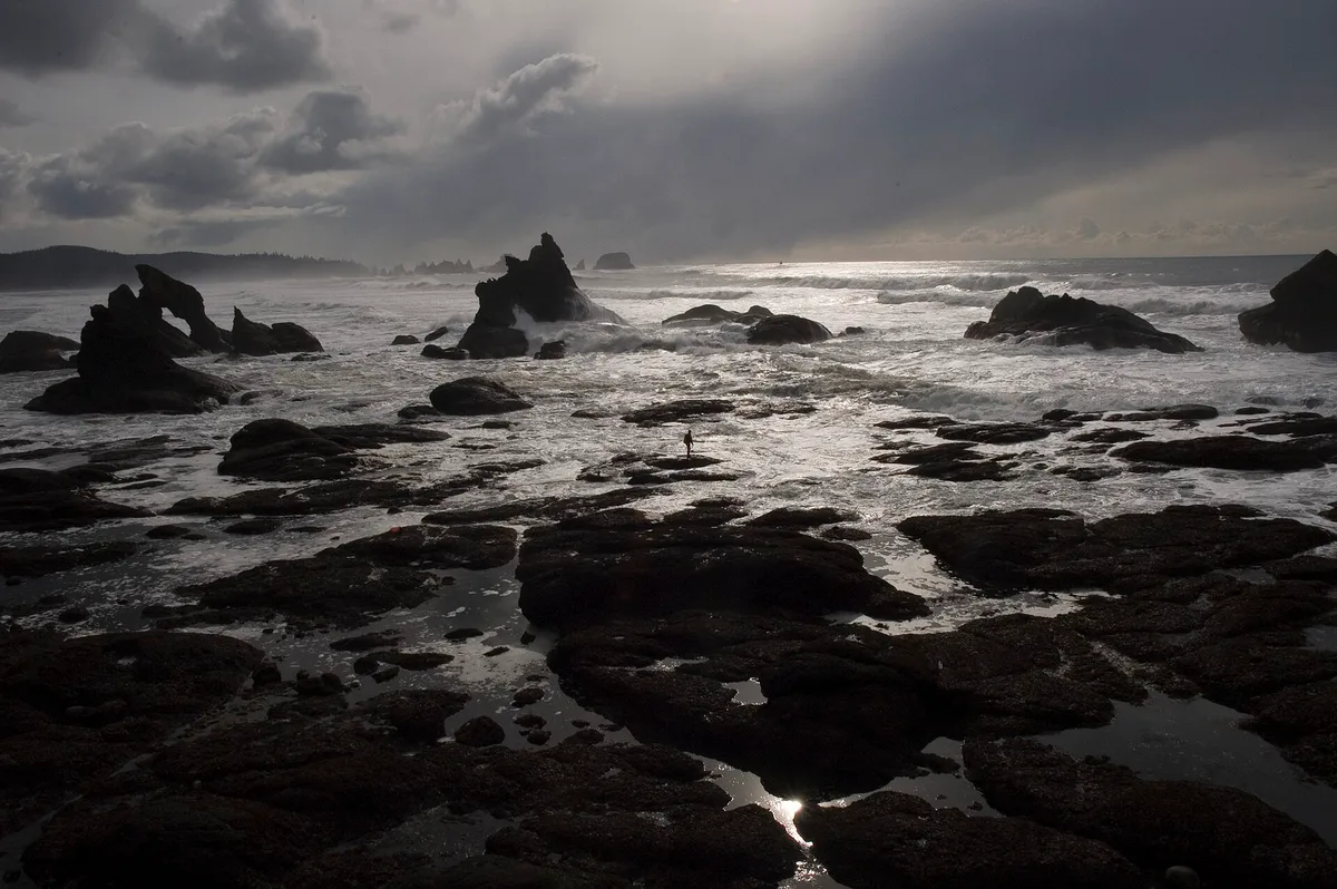 Shi Shi Beach, Clallam County, Pacific Northwest, United States