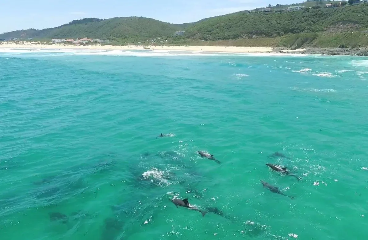 Playa de Keurboomstrand, Bitou, Garden Route, Sudáfrica — 2