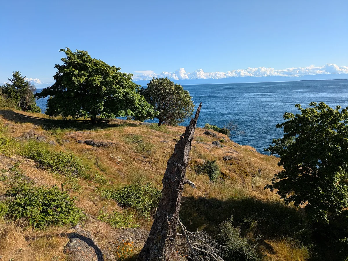 Deadman Bay, Friday Harbor, US Pacific Northwest, United States — 6