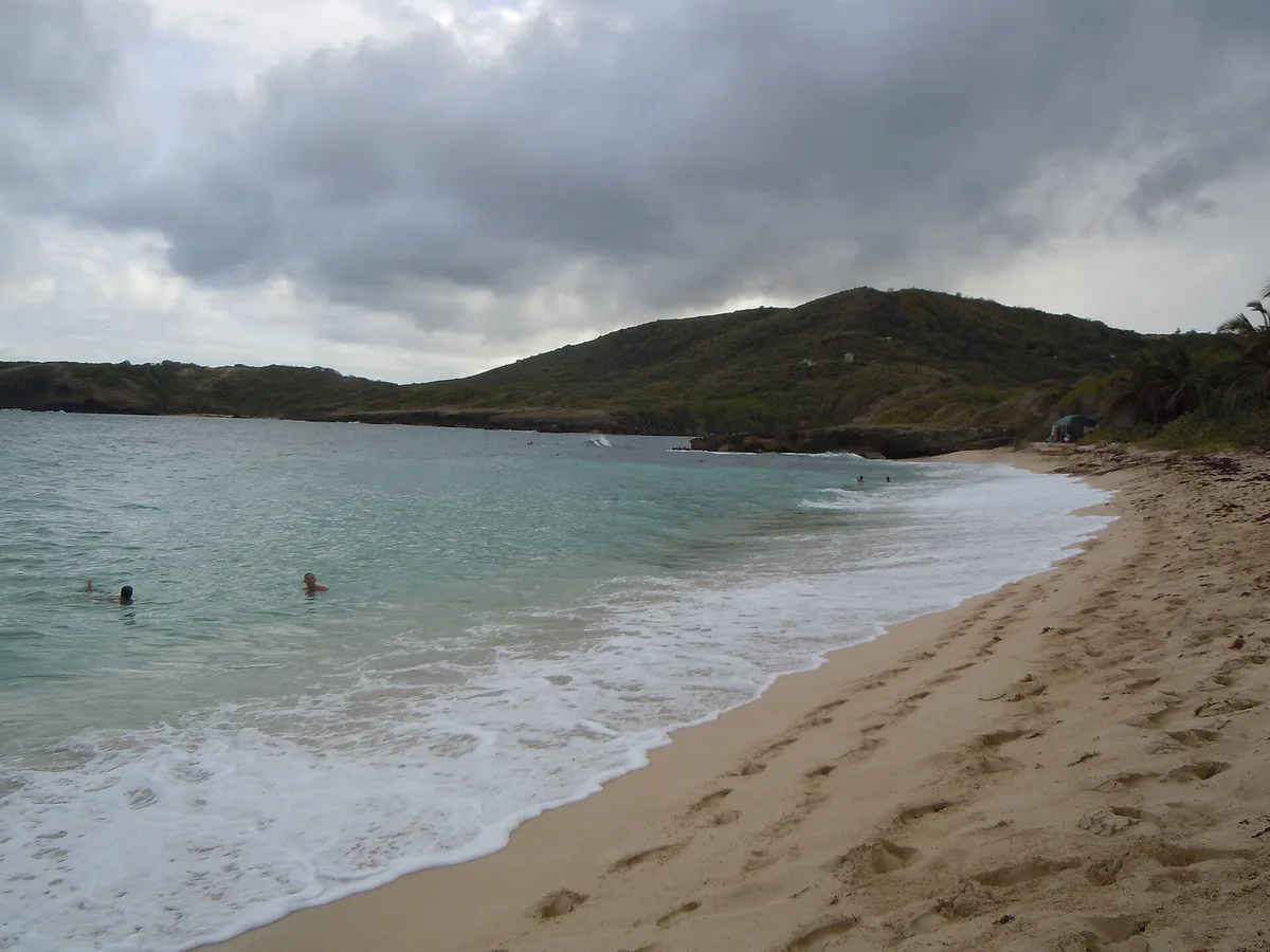 Anse Baleine Beach, Le Marin, Martinique, France — 2