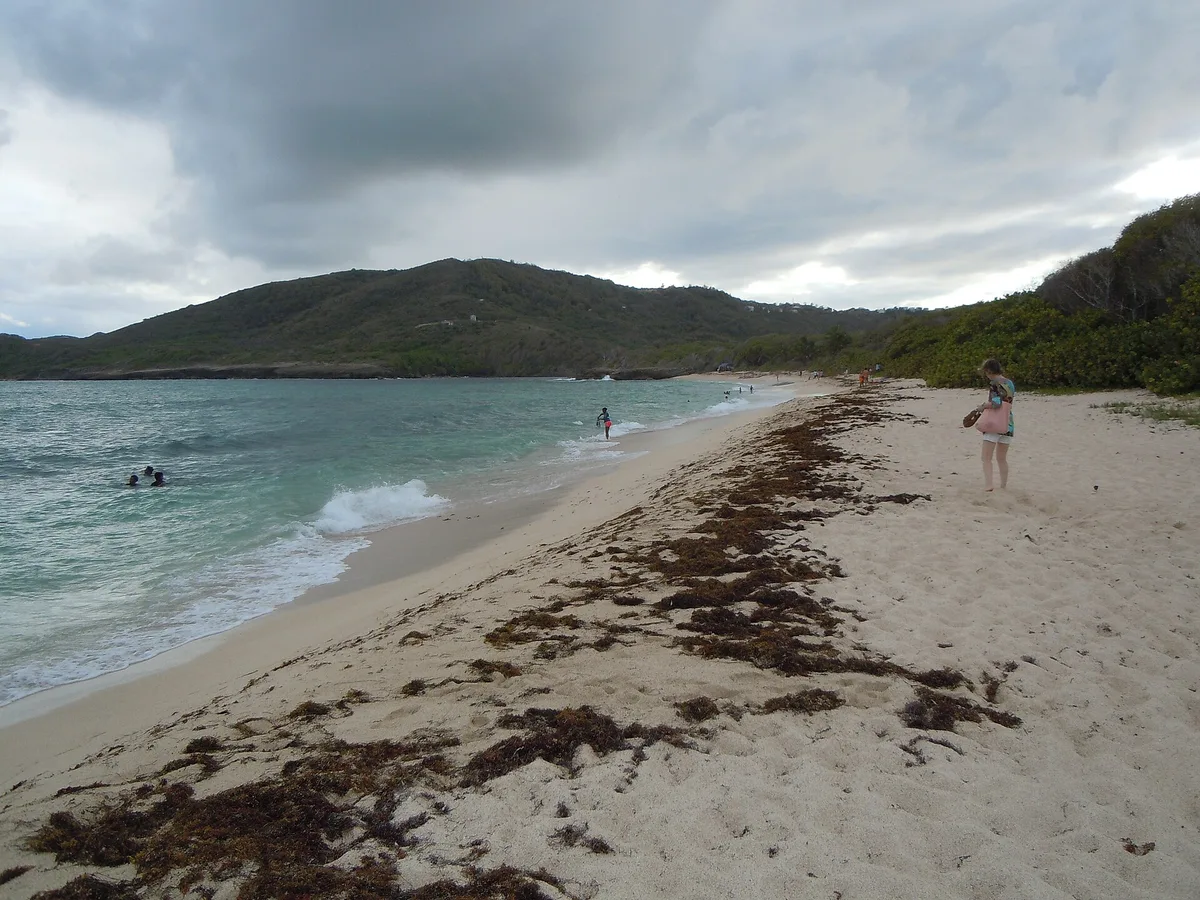 Anse Baleine Beach, Le Marin, Martinique, France — 3