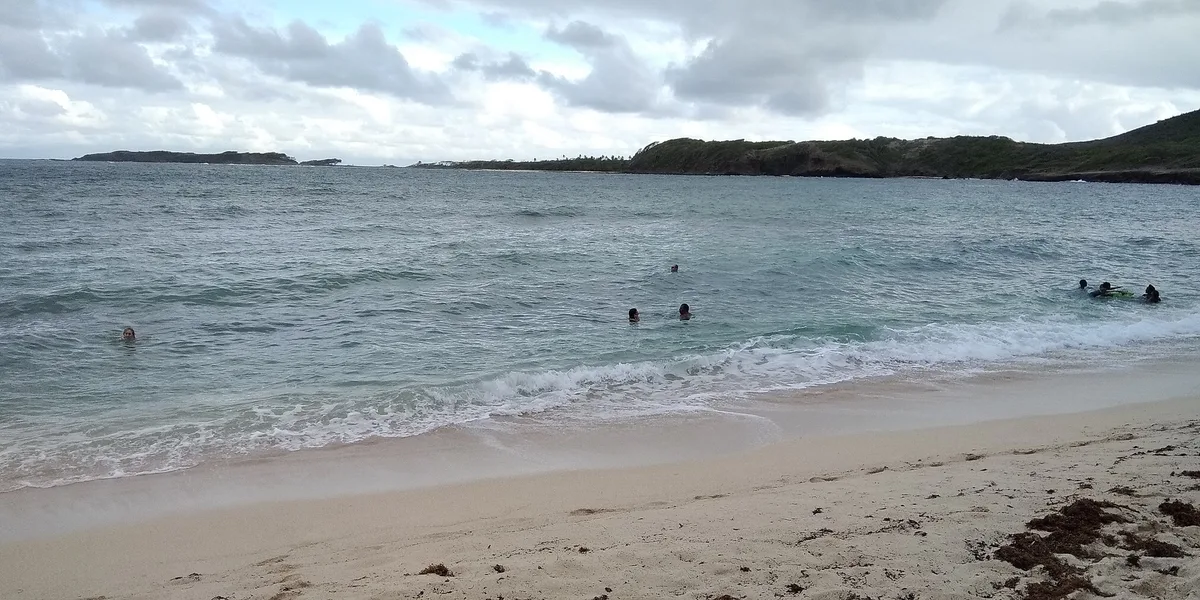 Anse Baleine Beach, Le Marin, Martinique, France — 4