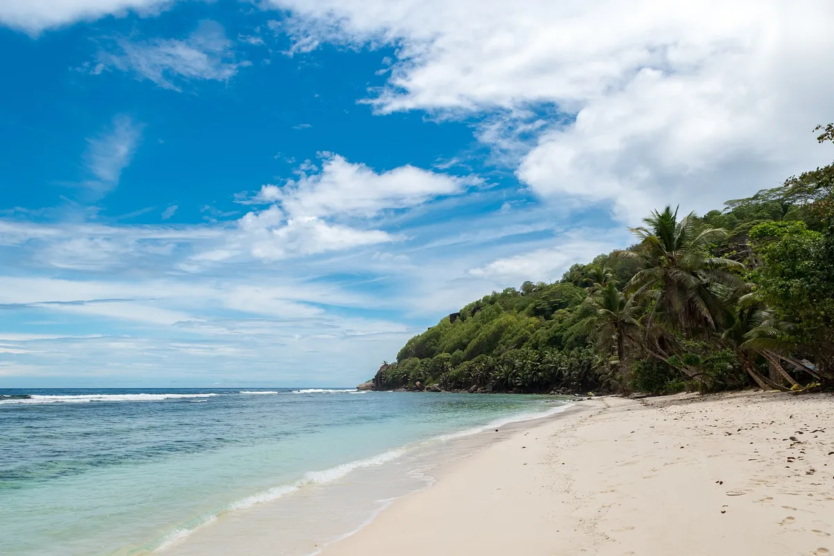 Anse Baleine Beach, Le Marin, Martinique, France