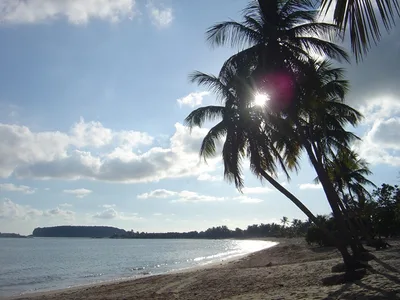 Sun Bay Beach, Esperanza, Greater Antilles, Puerto Rico — 3